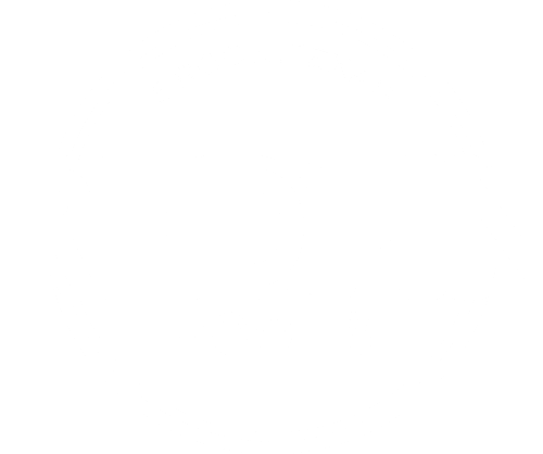Redfin Pools Logo